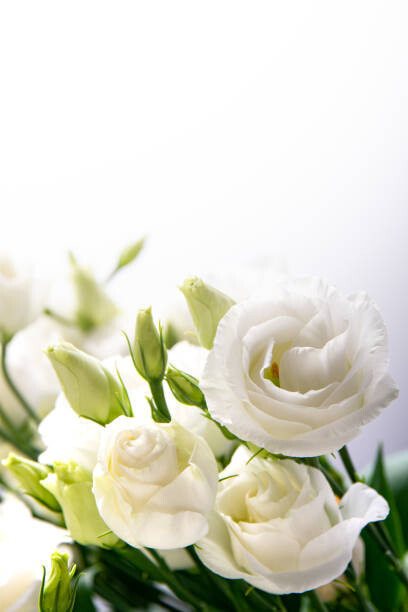 Levně Plakát, Obraz - Beautiful flower bouquet with white Lisianthus, Black Lollipop, 26.7 × 40 cm