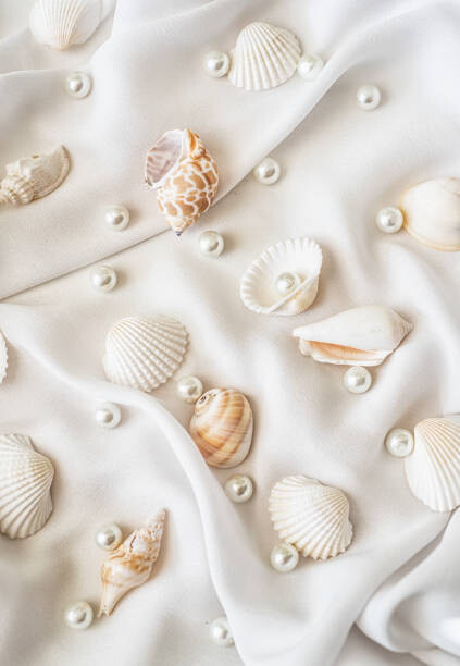 Levně Plakát, Obraz - Seashells and pearls on white silk, Natalia Ganelin, 26.7 × 40 cm