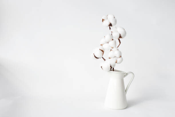 Levně Plakát, Obraz - Cotton in a vase, paula sierra, 40 × 26.7 cm