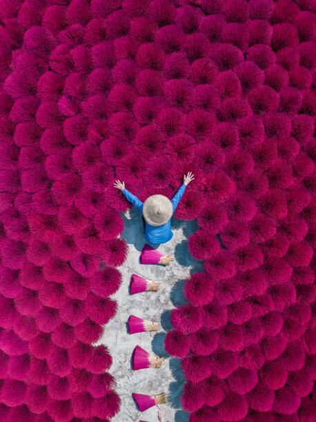 Ilustrace Drone image directly above a Vietnamese, Abstract Aerial Art, 30 × 40 cm