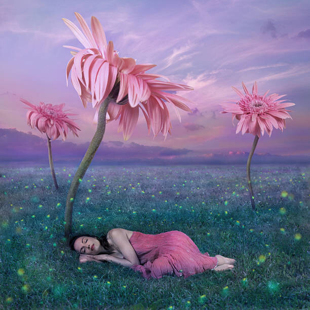 Levně Plakát, Obraz - Sleeping in nature, draganab, 40 × 40 cm