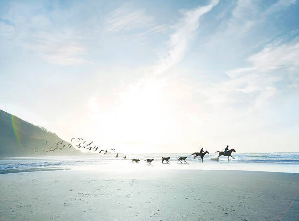 Levně Plakát, Obraz - Conceptual shot of riders, dogs and birds on beach, Ezra Bailey, 40 × 30 cm