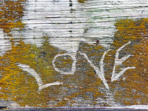Levně Plakát, Obraz - Love Text In Lichen, liveslow, 40 × 30 cm