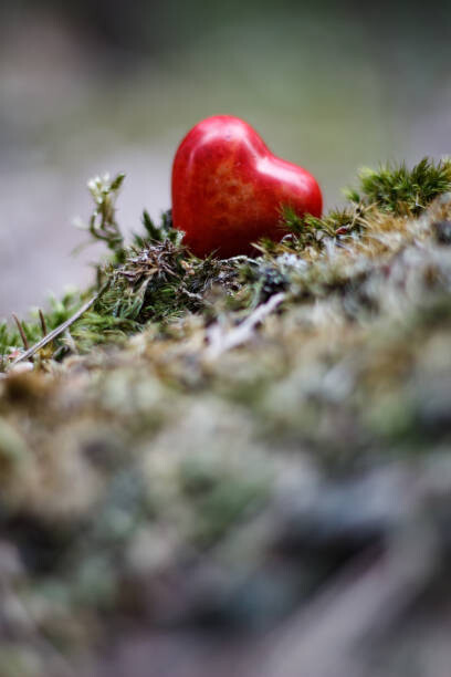 Levně Plakát, Obraz - Heart figure in the forest - love concept, sanzios85, 26.7 × 40 cm
