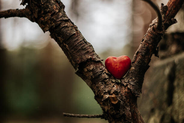 Levně Plakát, Obraz - Heart figure in the forest - love concept, sanzios85, 40 × 26.7 cm