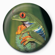 Placka FROG