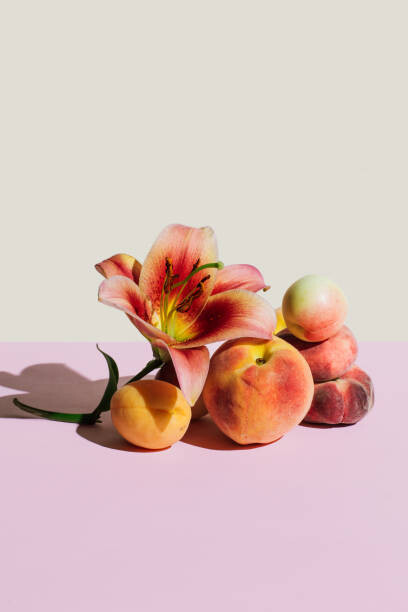 Levně Plakát, Obraz - Lily flower and peaches on beige, Tanja Ivanova, 26.7 × 40 cm