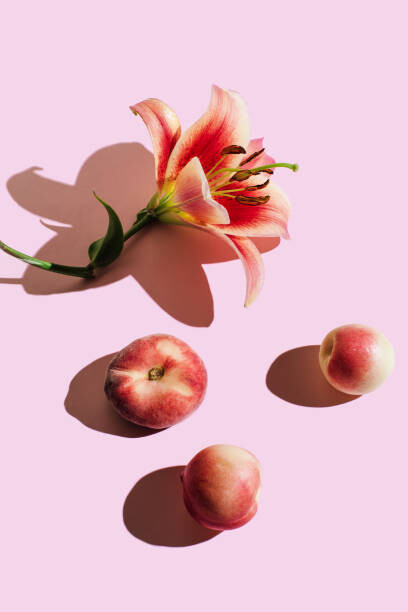 Levně Plakát, Obraz - Lily flower and peaches on pink, Tanja Ivanova, 26.7 × 40 cm