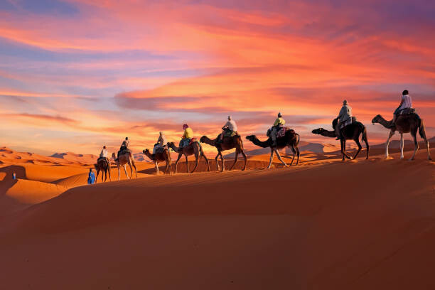 Levně Plakát, Obraz - Camel caravan going through the Sahara, Nisangha, 40 × 26.7 cm
