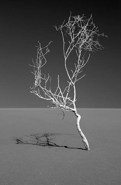 Levně Plakát, Obraz - Art of nature, Sossuvlei, Namib desert, Mike Korostelev, 26.7 × 40 cm