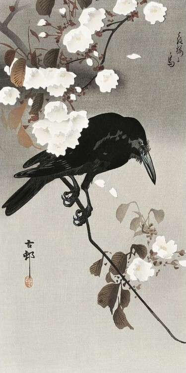 Levně Umělecký tisk Crow And Cherry Blossom, Ohara Koson, 20 × 40 cm