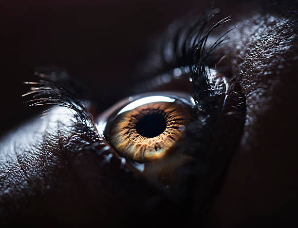 Umělecká fotografie The Human Eye., Ben Welsh, (40 x 30 cm)