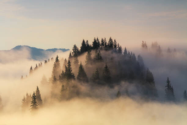 Levně Plakát, Obraz - Foggy sunrise in the mountains in summer, Anton Petrus, 40 × 26.7 cm