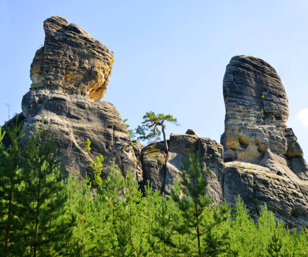 Levně Plakát, Obraz - Sandstone rock in Hruboskalsko Nature Reserve,, vencavolrab, 40 × 33.4 cm
