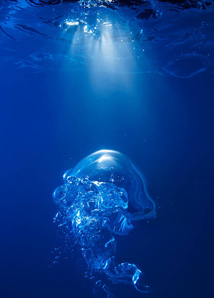 Levně Plakát, Obraz - Bubble on spot light in blue water, Biwa Studio, 30 × 40 cm