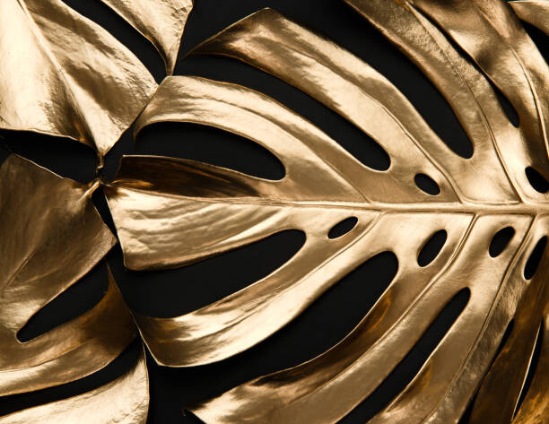 Levně Plakát, Obraz - Golden monstera leaf on black background, xmocb, 40 × 30 cm