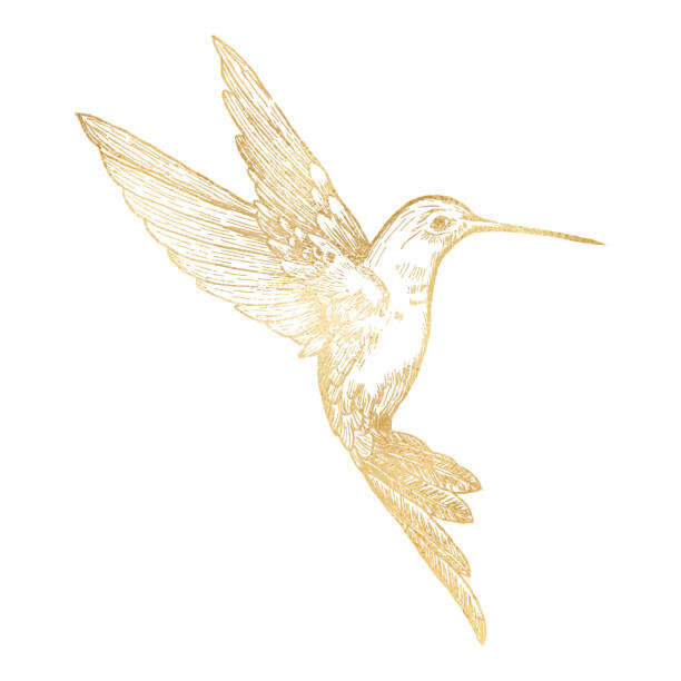 Levně Plakát, Obraz - Gold Bee Hummingbird Isolated. Hand Painted, Gokcemim, 40 × 40 cm
