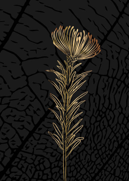 Ilustrace Minimalist botanical illustration. Golden outline of, Elena Makarova, 30x40 cm