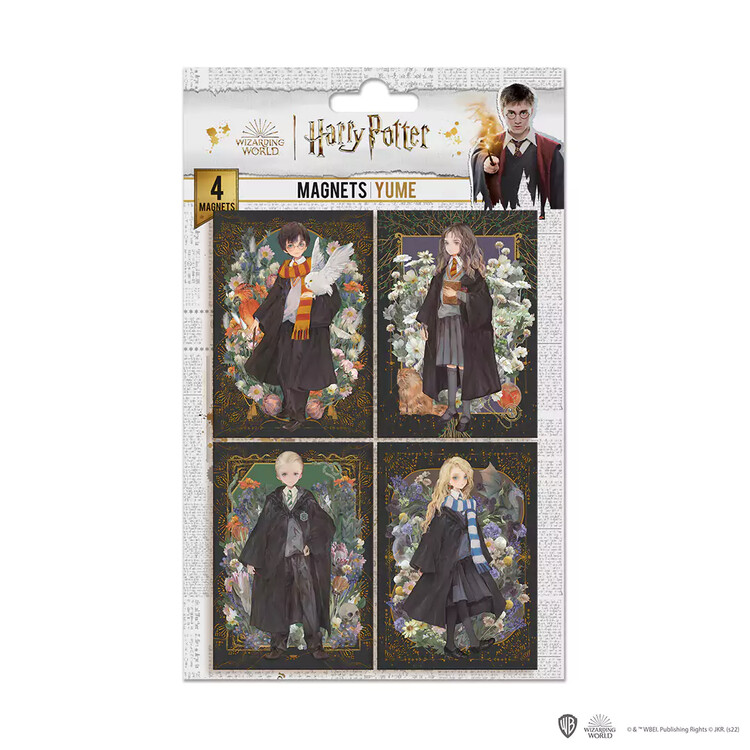 Calamita Harry Potter - Portraits