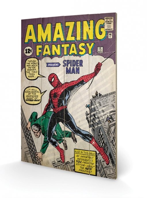 Bild auf Holz Spiderman - Amazing Fantasy