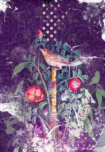 Poster Pompeii bird, 2014