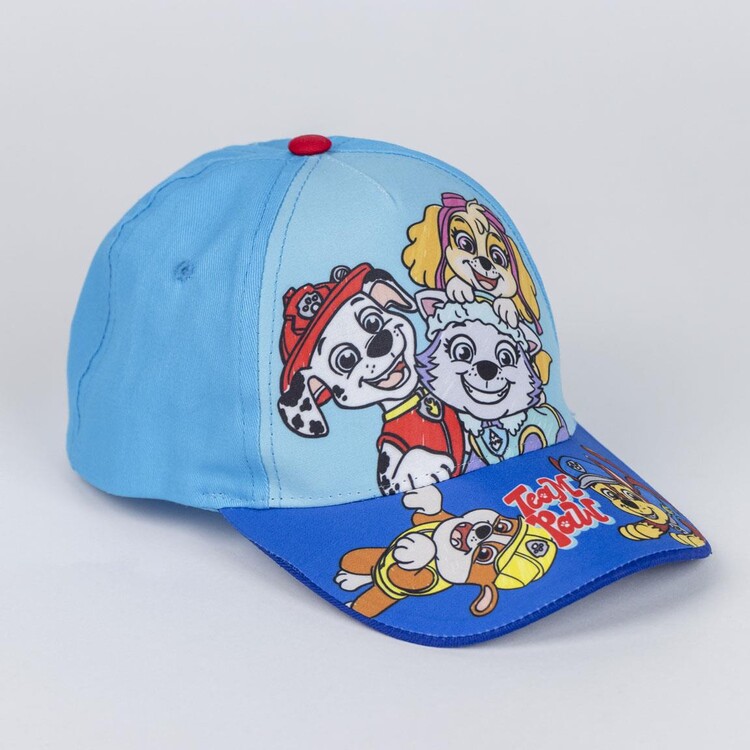 Paw Patrol - Team Paw Pet