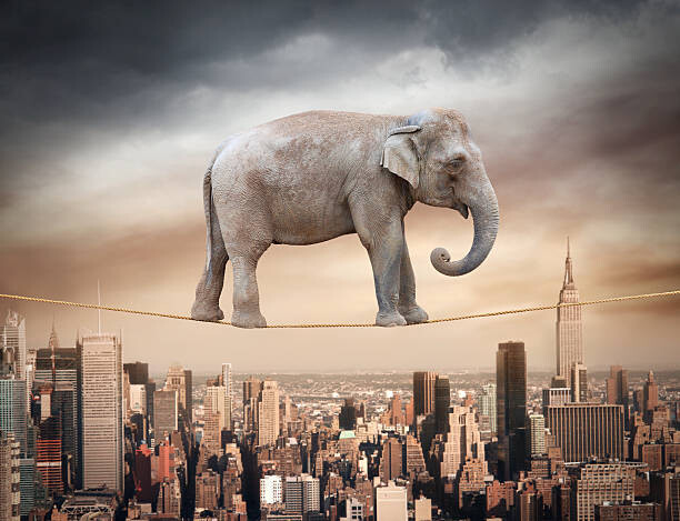 Ilustrace Elephant balancing on the rope, narvikk, 40x30 cm