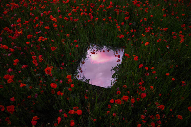 Levně Plakát, Obraz - Dreamlike picture of mirror reflecting the, Artur Debat, 40 × 26.7 cm