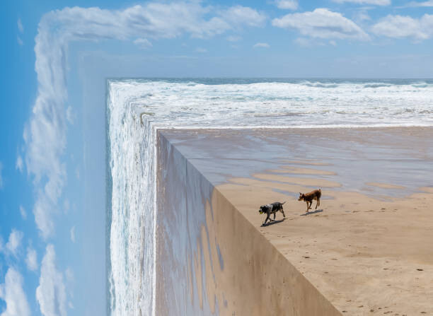 Levně Plakát, Obraz - Perspective bending image of two dogs on a beach, ImagePatch, 40 × 30 cm
