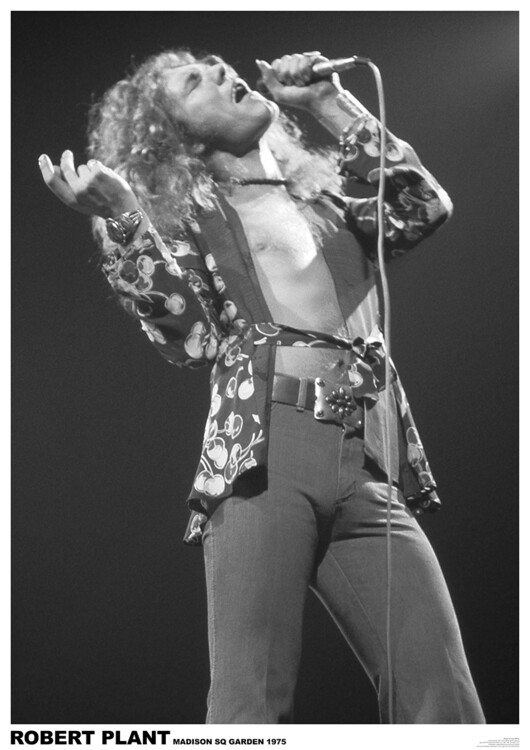 Plakát, Obraz - Led Zeppelin - Robert Plant March 1975 (colour), 59.4x84 cm
