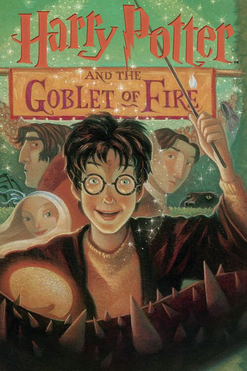 Umělecký tisk Harry Potter - Goblet of Fire book cover, 26.7x40 cm
