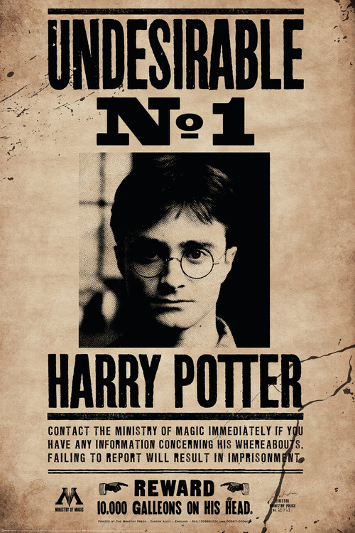 Plakát, Obraz - Harry Potter - Undersirable No.1, 61x91.5 cm