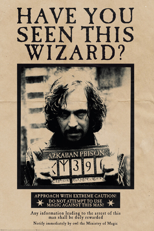 Plakát, Obraz - Harry Potter - Sirius Black, 61x91.5 cm