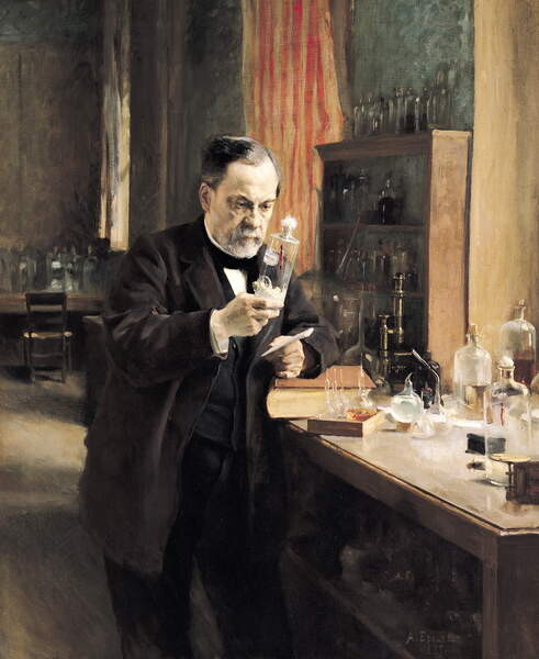 Fotografie Louis Pasteur in his Laboratory, 1885, Edelfelt, Albert Gustaf Aristides, 35x40 cm