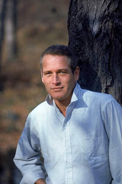 Umělecká fotografie Paul Newman Early 70'S, (26.7 x 40 cm)