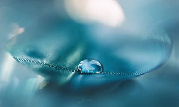 Fotografie Feathers aqua blue color with a, oxygen, 40x24.6 cm