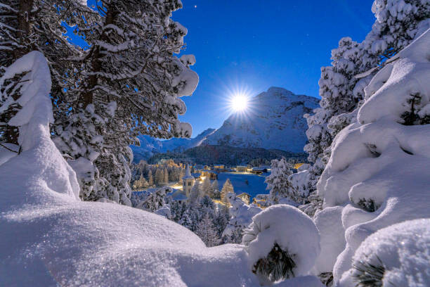 Umělecká fotografie Snowy forest lit by moon in winter, Switzerland, Roberto Moiola / Sysaworld, (40 x 26.7 cm)