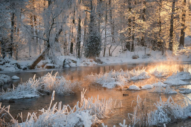 Fotografie Morning by a frozen river in winter, Schon, 40x26.7 cm