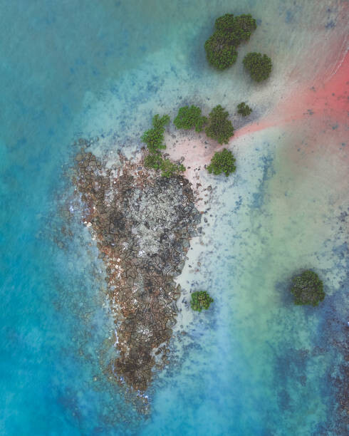Fotografie Aerial shot of tropical island, Broome, Australia, Abstract Aerial Art, 30x40 cm