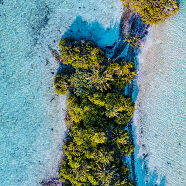 Fotografie Aerial shot of tropical island, Maldives, graphixel, 40x40 cm