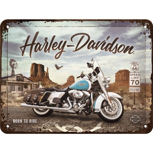 Plechová cedule Harley Davidson - Born to Ride, (20 x 15 cm)