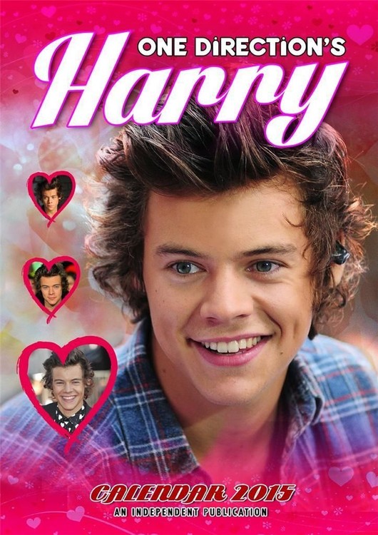 Kalendář 2027 Harry Styles - One Direction
