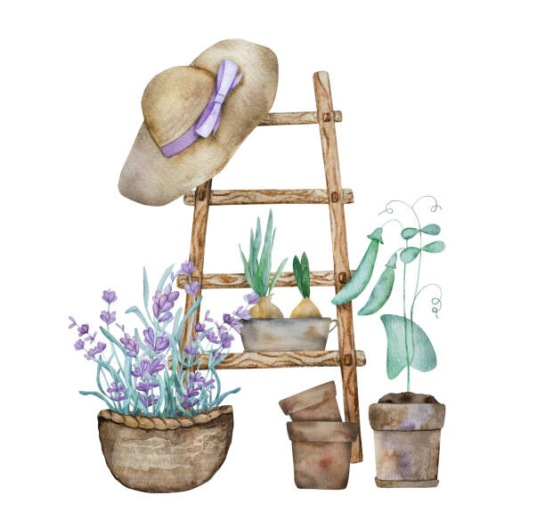 Ilustrace Beautiful lavender provence watercolor illustration, VYCHEGZHANINA, 40x40 cm