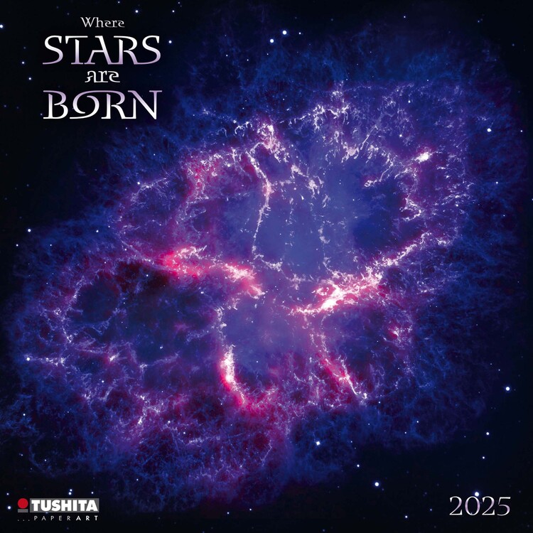 Calendario 2027 Where Stars are born