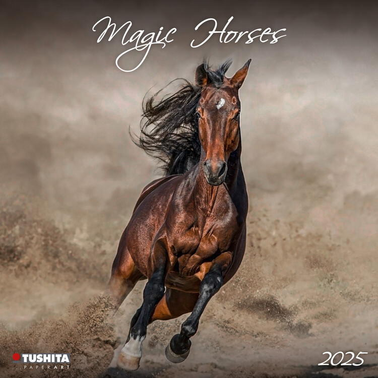 Kalendář 2025 Magic Horses, 30 x 30 cm