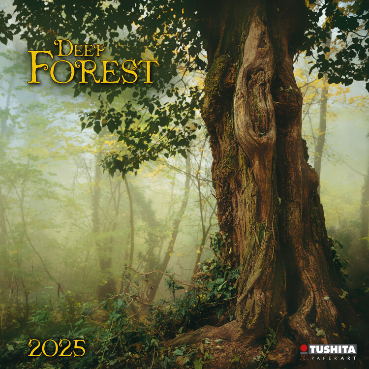 Naptár 2027 Deep Forest