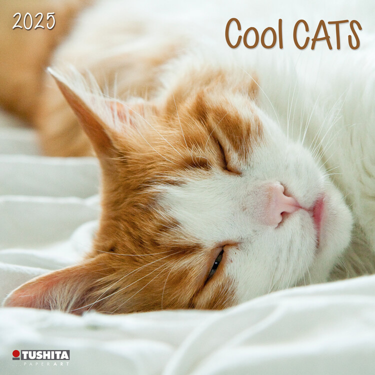 Calendario 2027 Cool Cats