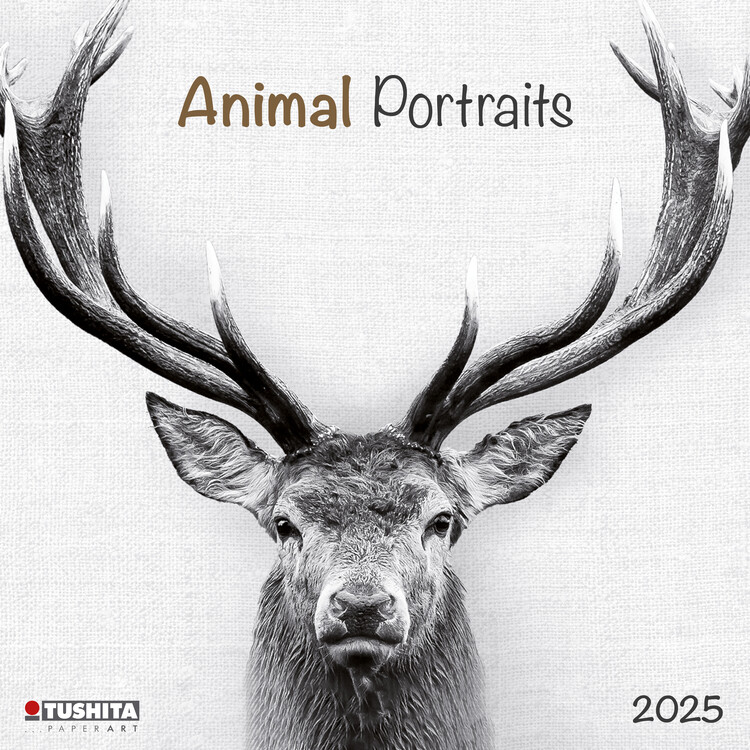 Calendario 2027 Animal Portraits