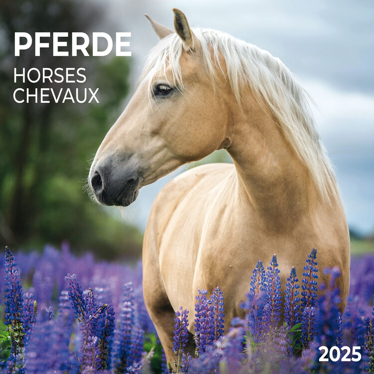 Kalendář 2025 Horses, 30 x 30 cm