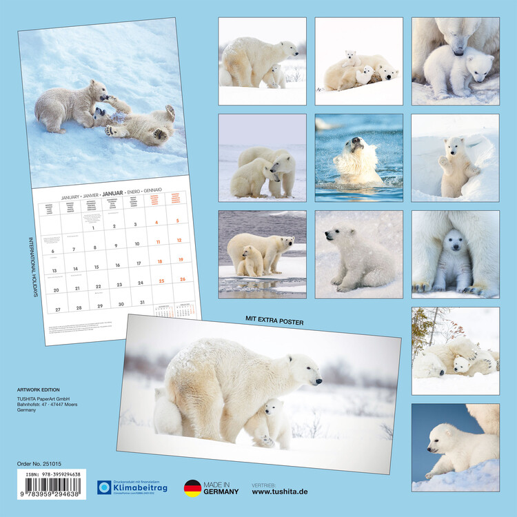 Polar Bears Wall Calendars 2025 Buy at UKposters